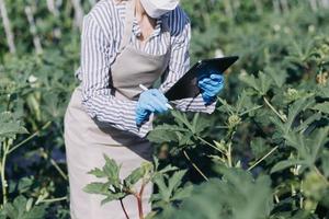 Futuristic businessman farms vegetables and crops using modern AI technology using mobile phones, temperature and humidity sensors, water tracking, climate control, holographic data data icons. photo