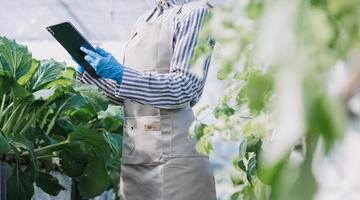 Futuristic businessman farms vegetables and crops using modern AI technology using mobile phones, temperature and humidity sensors, water tracking, climate control, holographic data data icons. photo