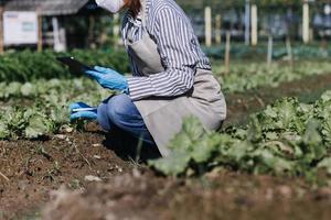 Futuristic businessman farms vegetables and crops using modern AI technology using mobile phones, temperature and humidity sensors, water tracking, climate control, holographic data data icons. photo
