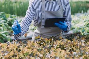 Futuristic businessman farms vegetables and crops using modern AI technology using mobile phones, temperature and humidity sensors, water tracking, climate control, holographic data data icons. photo