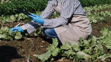 Futuristic businessman farms vegetables and crops using modern AI technology using mobile phones, temperature and humidity sensors, water tracking, climate control, holographic data data icons. photo