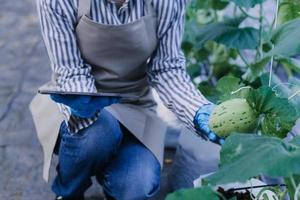 Futuristic businessman farms vegetables and crops using modern AI technology using mobile phones, temperature and humidity sensors, water tracking, climate control, holographic data data icons. photo