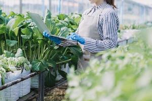Futuristic businessman farms vegetables and crops using modern AI technology using mobile phones, temperature and humidity sensors, water tracking, climate control, holographic data data icons. photo