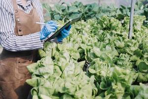 Futuristic businessman farms vegetables and crops using modern AI technology using mobile phones, temperature and humidity sensors, water tracking, climate control, holographic data data icons. photo