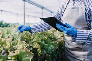 Futuristic businessman farms vegetables and crops using modern AI technology using mobile phones, temperature and humidity sensors, water tracking, climate control, holographic data data icons. photo