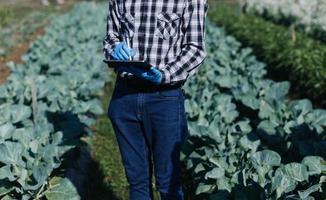 un hombre de negocios futurista cultiva verduras y cultivos usando tecnología moderna de inteligencia artificial usando teléfonos móviles, sensores de temperatura y humedad, rastreo de agua, control climático, íconos de datos holográficos. foto