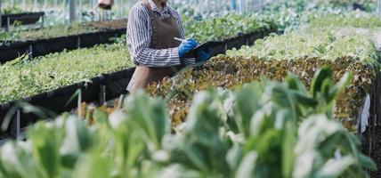 Futuristic businessman farms vegetables and crops using modern AI technology using mobile phones, temperature and humidity sensors, water tracking, climate control, holographic data data icons. photo