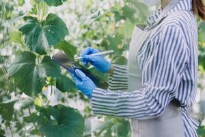 Futuristic businessman farms vegetables and crops using modern AI technology using mobile phones, temperature and humidity sensors, water tracking, climate control, holographic data data icons. photo