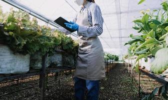 Futuristic businessman farms vegetables and crops using modern AI technology using mobile phones, temperature and humidity sensors, water tracking, climate control, holographic data data icons. photo