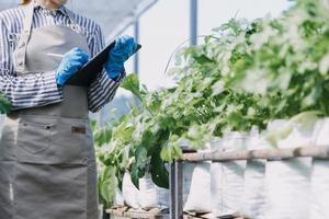 Futuristic businessman farms vegetables and crops using modern AI technology using mobile phones, temperature and humidity sensors, water tracking, climate control, holographic data data icons. photo