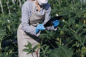 Futuristic businessman farms vegetables and crops using modern AI technology using mobile phones, temperature and humidity sensors, water tracking, climate control, holographic data data icons. photo