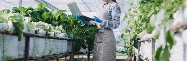 un hombre de negocios futurista cultiva verduras y cultivos usando tecnología moderna de inteligencia artificial usando teléfonos móviles, sensores de temperatura y humedad, rastreo de agua, control climático, íconos de datos holográficos. foto