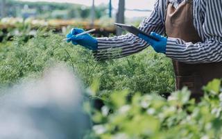 Futuristic businessman farms vegetables and crops using modern AI technology using mobile phones, temperature and humidity sensors, water tracking, climate control, holographic data data icons. photo