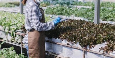 Futuristic businessman farms vegetables and crops using modern AI technology using mobile phones, temperature and humidity sensors, water tracking, climate control, holographic data data icons. photo