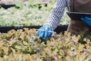 Futuristic businessman farms vegetables and crops using modern AI technology using mobile phones, temperature and humidity sensors, water tracking, climate control, holographic data data icons. photo