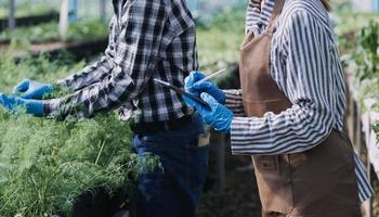 Futuristic businessman farms vegetables and crops using modern AI technology using mobile phones, temperature and humidity sensors, water tracking, climate control, holographic data data icons. photo