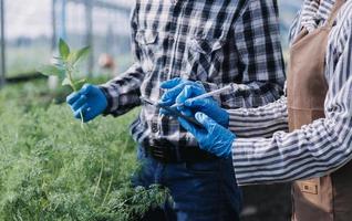 Futuristic businessman farms vegetables and crops using modern AI technology using mobile phones, temperature and humidity sensors, water tracking, climate control, holographic data data icons. photo