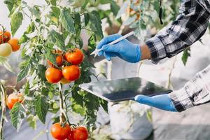 Futuristic businessman farms vegetables and crops using modern AI technology using mobile phones, temperature and humidity sensors, water tracking, climate control, holographic data data icons. photo
