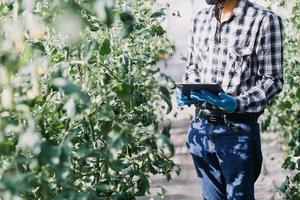 Futuristic businessman farms vegetables and crops using modern AI technology using mobile phones, temperature and humidity sensors, water tracking, climate control, holographic data data icons. photo