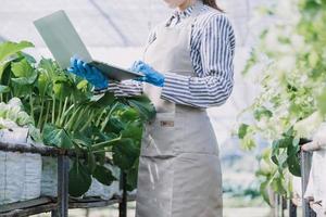 Futuristic businessman farms vegetables and crops using modern AI technology using mobile phones, temperature and humidity sensors, water tracking, climate control, holographic data data icons. photo