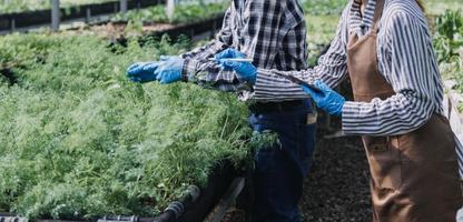 Futuristic businessman farms vegetables and crops using modern AI technology using mobile phones, temperature and humidity sensors, water tracking, climate control, holographic data data icons. photo
