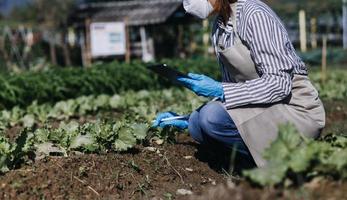 Futuristic businessman farms vegetables and crops using modern AI technology using mobile phones, temperature and humidity sensors, water tracking, climate control, holographic data data icons. photo