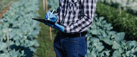 Futuristic businessman farms vegetables and crops using modern AI technology using mobile phones, temperature and humidity sensors, water tracking, climate control, holographic data data icons. photo