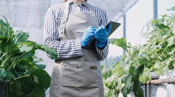 Futuristic businessman farms vegetables and crops using modern AI technology using mobile phones, temperature and humidity sensors, water tracking, climate control, holographic data data icons. photo