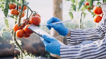 Futuristic businessman farms vegetables and crops using modern AI technology using mobile phones, temperature and humidity sensors, water tracking, climate control, holographic data data icons. photo