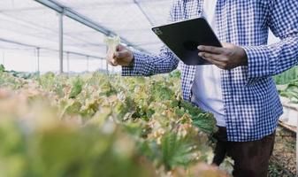 Futuristic businessman farms vegetables and crops using modern AI technology using mobile phones, temperature and humidity sensors, water tracking, climate control, holographic data data icons. photo