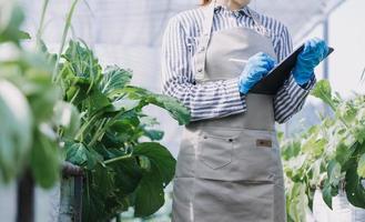 Futuristic businessman farms vegetables and crops using modern AI technology using mobile phones, temperature and humidity sensors, water tracking, climate control, holographic data data icons. photo