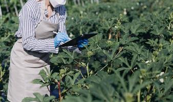 Futuristic businessman farms vegetables and crops using modern AI technology using mobile phones, temperature and humidity sensors, water tracking, climate control, holographic data data icons. photo