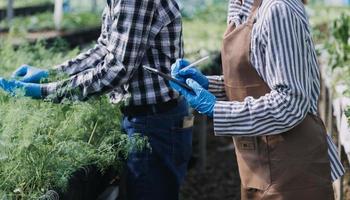 Futuristic businessman farms vegetables and crops using modern AI technology using mobile phones, temperature and humidity sensors, water tracking, climate control, holographic data data icons. photo