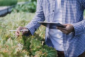 Futuristic businessman farms vegetables and crops using modern AI technology using mobile phones, temperature and humidity sensors, water tracking, climate control, holographic data data icons. photo