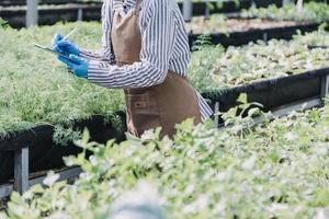 Futuristic businessman farms vegetables and crops using modern AI technology using mobile phones, temperature and humidity sensors, water tracking, climate control, holographic data data icons. photo