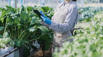 Futuristic businessman farms vegetables and crops using modern AI technology using mobile phones, temperature and humidity sensors, water tracking, climate control, holographic data data icons. photo