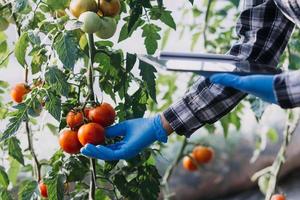 Futuristic businessman farms vegetables and crops using modern AI technology using mobile phones, temperature and humidity sensors, water tracking, climate control, holographic data data icons. photo