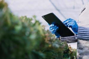 Futuristic businessman farms vegetables and crops using modern AI technology using mobile phones, temperature and humidity sensors, water tracking, climate control, holographic data data icons. photo