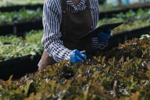 Futuristic businessman farms vegetables and crops using modern AI technology using mobile phones, temperature and humidity sensors, water tracking, climate control, holographic data data icons. photo