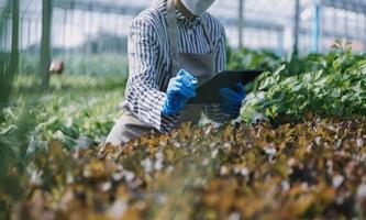 Futuristic businessman farms vegetables and crops using modern AI technology using mobile phones, temperature and humidity sensors, water tracking, climate control, holographic data data icons. photo