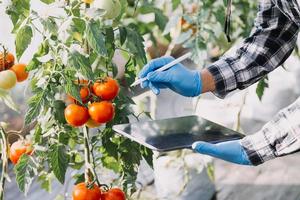 Futuristic businessman farms vegetables and crops using modern AI technology using mobile phones, temperature and humidity sensors, water tracking, climate control, holographic data data icons. photo