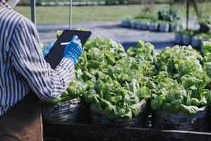 Futuristic businessman farms vegetables and crops using modern AI technology using mobile phones, temperature and humidity sensors, water tracking, climate control, holographic data data icons. photo