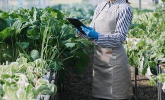 Futuristic businessman farms vegetables and crops using modern AI technology using mobile phones, temperature and humidity sensors, water tracking, climate control, holographic data data icons. photo