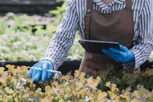 Futuristic businessman farms vegetables and crops using modern AI technology using mobile phones, temperature and humidity sensors, water tracking, climate control, holographic data data icons. photo