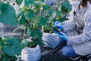 Futuristic businessman farms vegetables and crops using modern AI technology using mobile phones, temperature and humidity sensors, water tracking, climate control, holographic data data icons. photo
