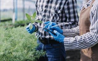 Futuristic businessman farms vegetables and crops using modern AI technology using mobile phones, temperature and humidity sensors, water tracking, climate control, holographic data data icons. photo