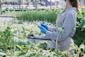 Futuristic businessman farms vegetables and crops using modern AI technology using mobile phones, temperature and humidity sensors, water tracking, climate control, holographic data data icons. photo