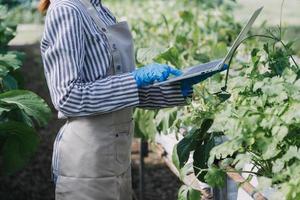 Futuristic businessman farms vegetables and crops using modern AI technology using mobile phones, temperature and humidity sensors, water tracking, climate control, holographic data data icons. photo
