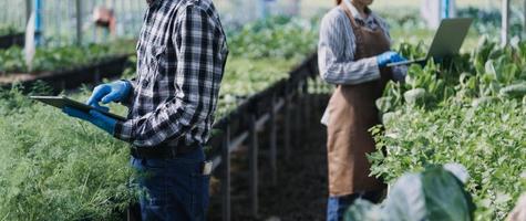 female farmer working early on farm holding wood basket of fresh vegetables and tablet photo