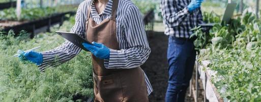 female farmer working early on farm holding wood basket of fresh vegetables and tablet photo